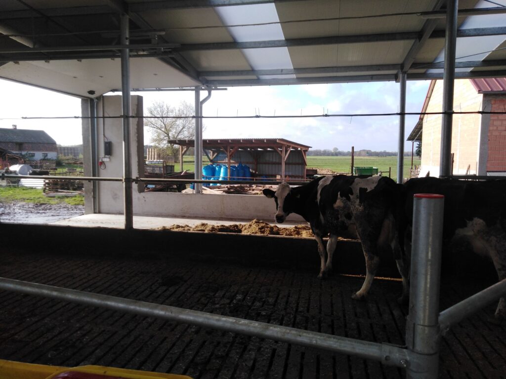 IMG_20191106_120552-min